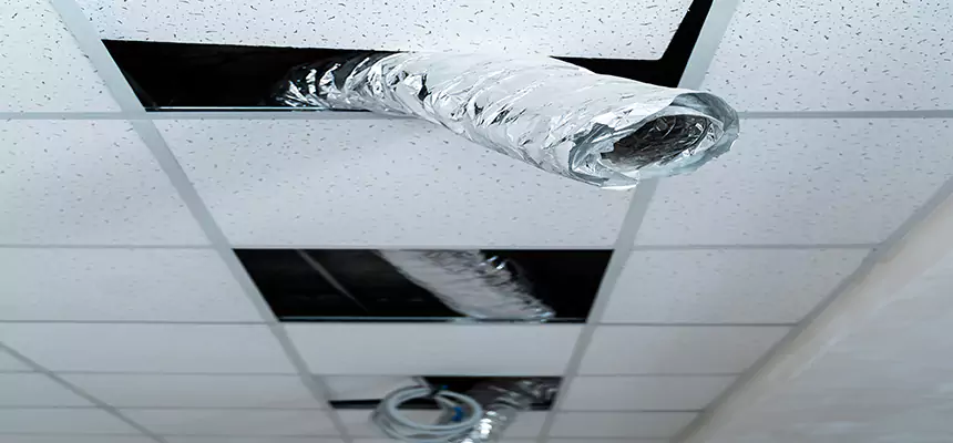 Our Air Duct Pet Hair Removal Services in Loma Linda, CA