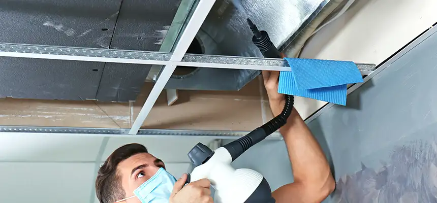 Our Air Duct Rodent Removal Services in Loma Linda, CA