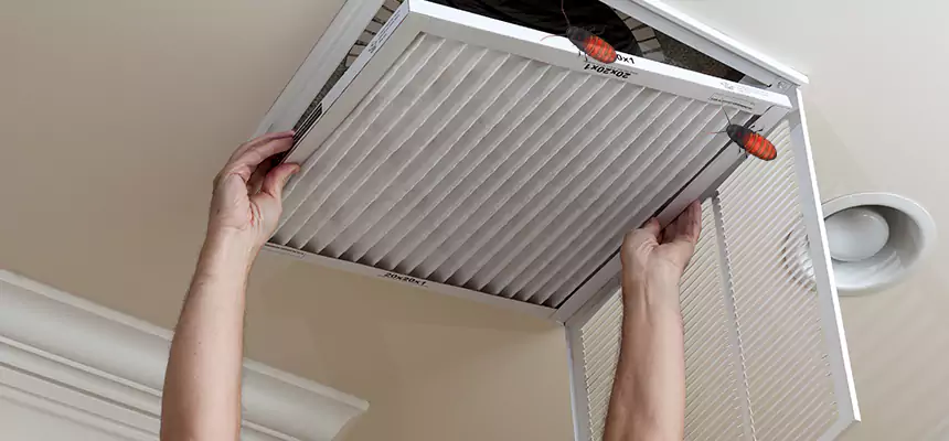 Our Insect Removal from Air Ducts Services in Loma Linda, CA