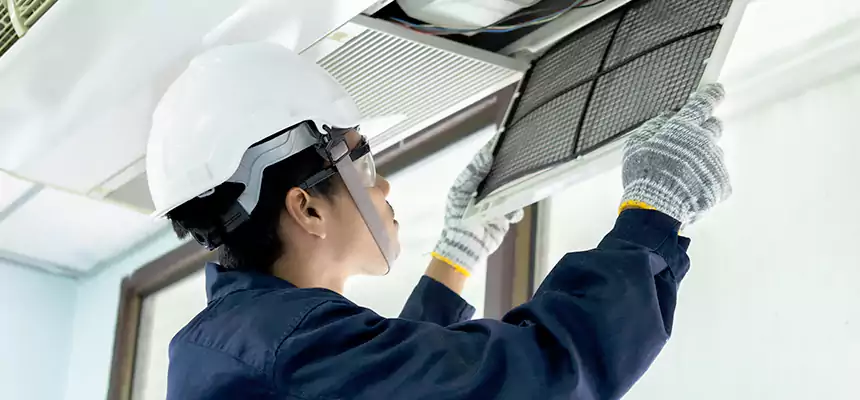 Our Mold & Mildew Removal from Air Ducts Services in Loma Linda, CA