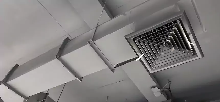 Our Pest Removal From Ducts Services in Loma Linda, CA