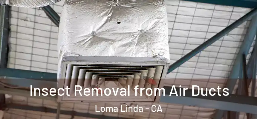  Insect Removal from Air Ducts Loma Linda - CA