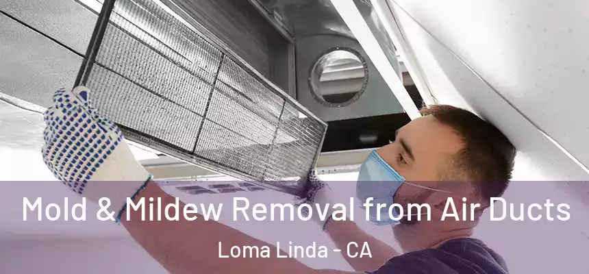 Mold & Mildew Removal from Air Ducts Loma Linda - CA