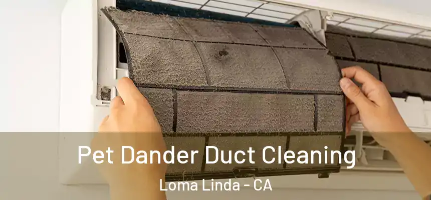 Pet Dander Duct Cleaning Loma Linda - CA