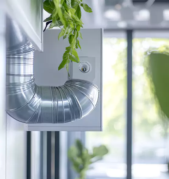 Professional Eco-Friendly Duct Cleaning Services in Loma Linda, CA