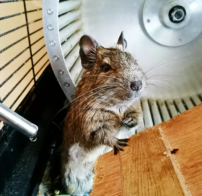 Why Homeowners & Businesses Trust Us Loma Linda, CA