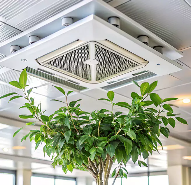 Why Homeowners & Businesses Trust Us in Loma Linda, CA?