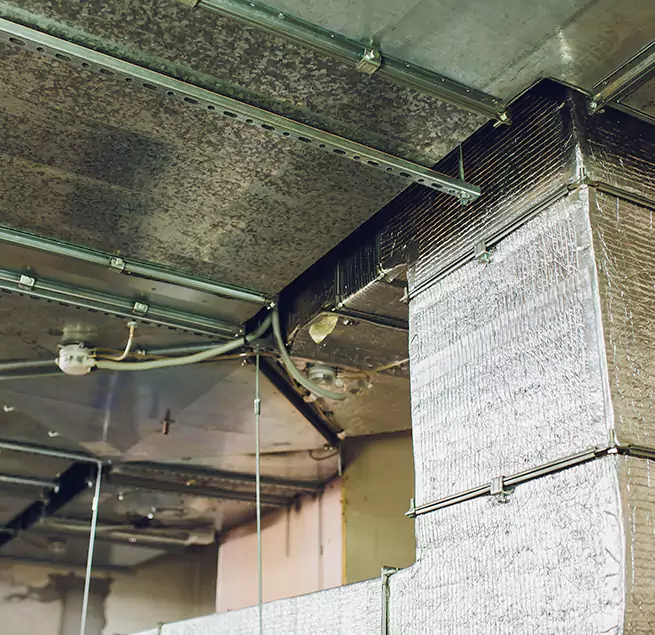 Why Homeowners & Businesses Trust Us in Loma Linda, CA?